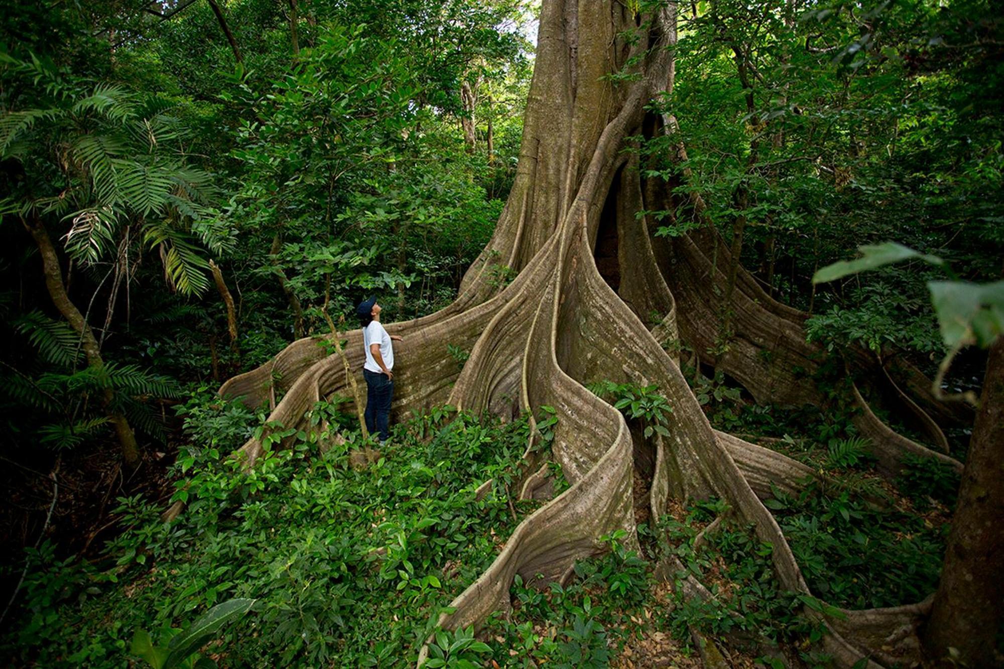 Buena Vista Del Rincon Eco Adventure Park Hotel & Spa 利比里亚 外观 照片