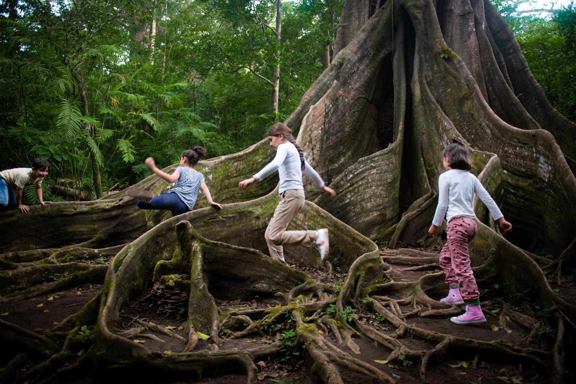 Buena Vista Del Rincon Eco Adventure Park Hotel & Spa 利比里亚 外观 照片
