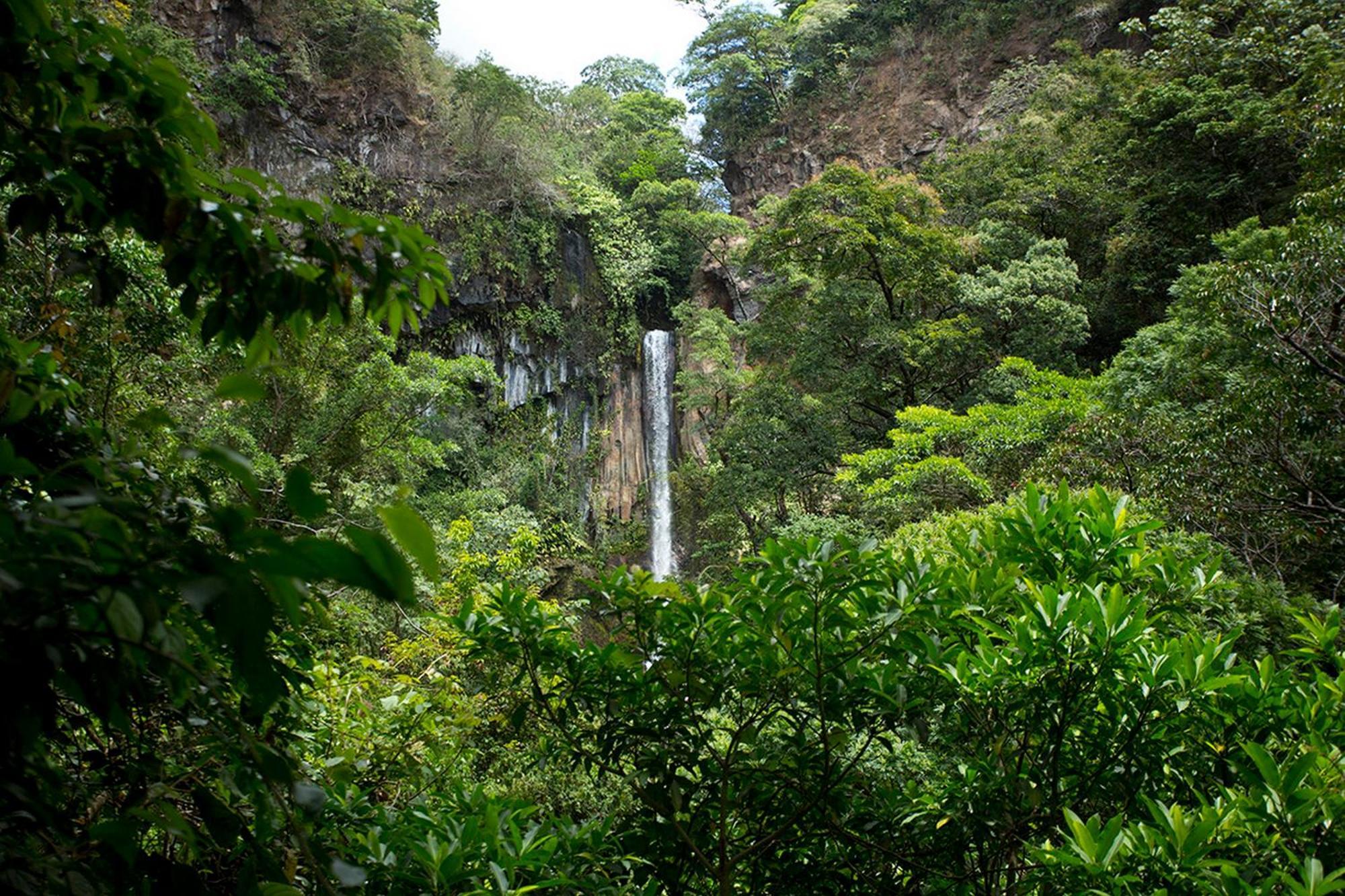 Buena Vista Del Rincon Eco Adventure Park Hotel & Spa 利比里亚 外观 照片
